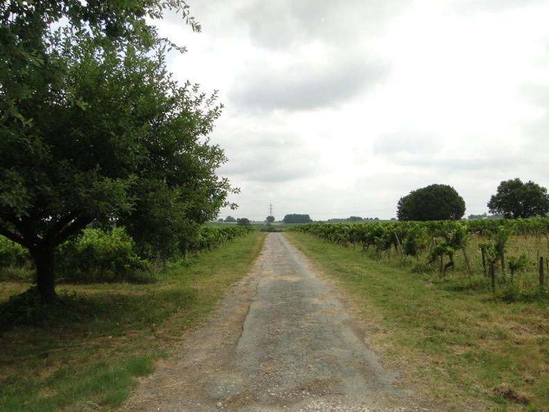 Chateau Monichot Organic Vineyard Tauriac  外观 照片